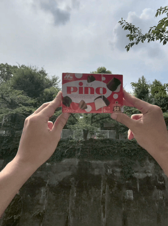 Morinaga Pino